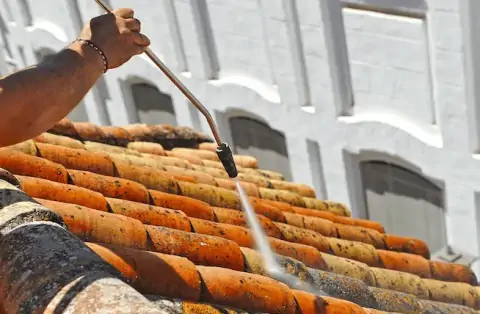 Nettoyage de toitures - Ingrandes-Le Fresne sur Loire